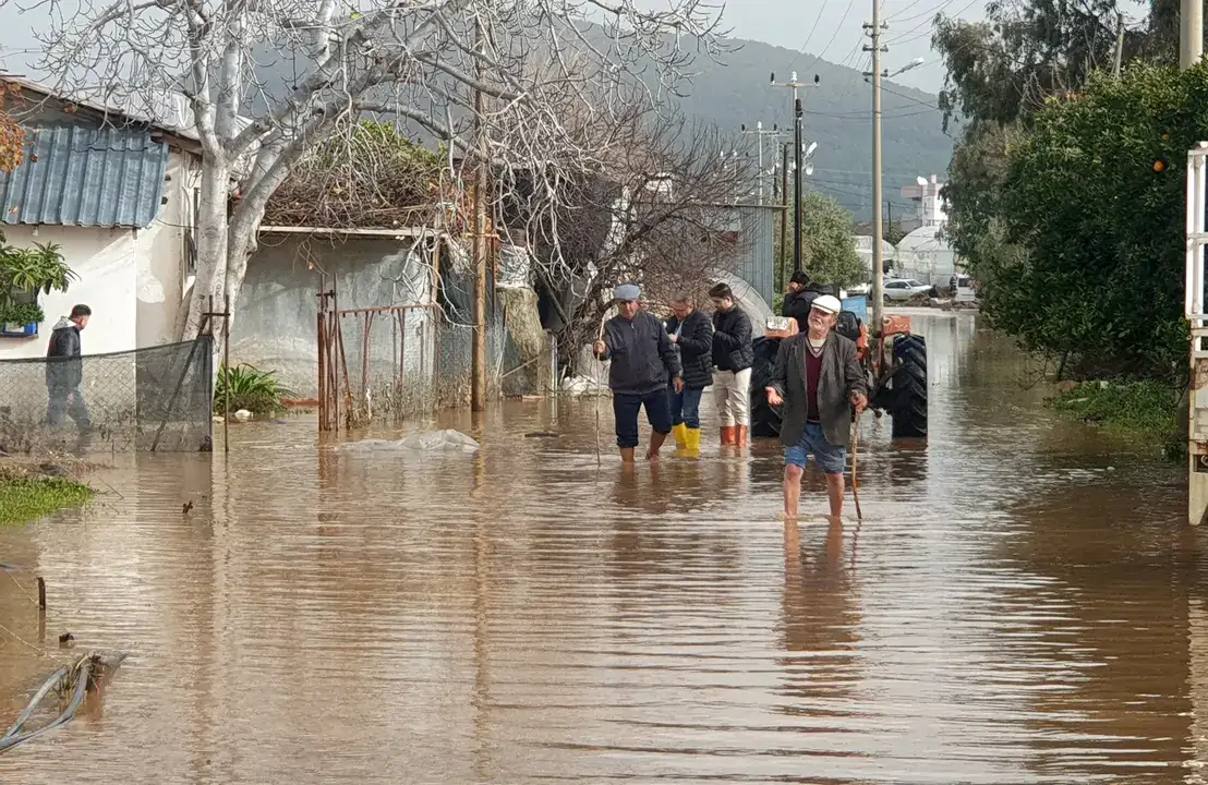 1500 Dönüm Tarım Alanı Zarar Gördü! Çiftçi: 'Ben Bittim Artık' 1